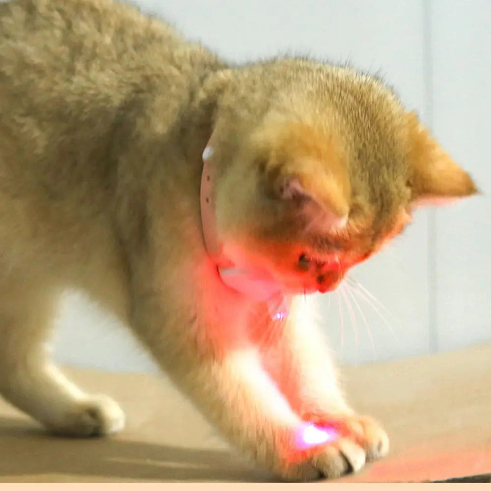 Laser Cat Collar LED Laser Cat Teasing Toy Cat Collar Toy Electric Smart Laser Teasing Cat Interactive Toy Kitten Playing Toy