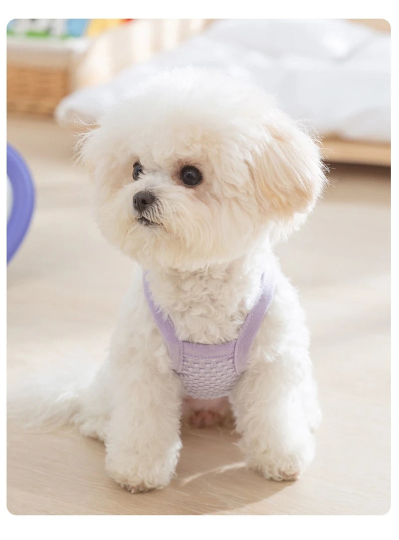 Sweet Flower Decorate Puppy Summer Clothes Breathable Unisex Small Chihuahua Pet Cat Vest Walking Leash T Shirt for York Dogs