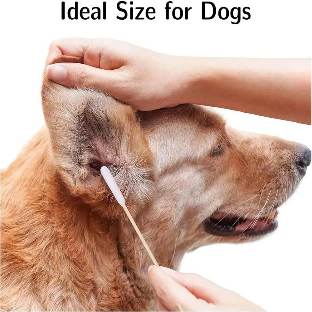 100pcs Pet Dog Ear Cleaner Cotton Buds Dog Ear Cleaner Cotton Swab Sticks Swab Sticks For Cat Pets Cleaning Supplies