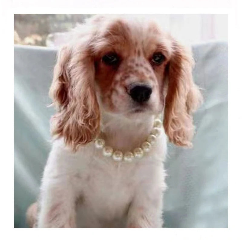 Luxury Dog Pearl Necklace Adjustable Puppy Pet Collar Jewelry Accessories for Small Medium Large Dogs Beagle Yorkie Chihuahua