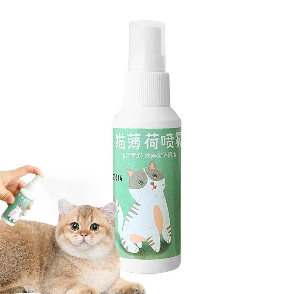Spray Catnip Natural Maximum Potency Cat Nip Bundle High Potency Catnip 50ml Safe Non-Addictive Catnip Feline And Cat Lover