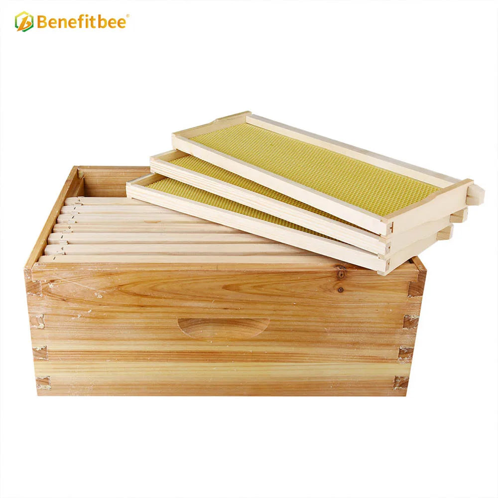 Wholesale bee hives beekeeping wooden langstroth beehive with frame