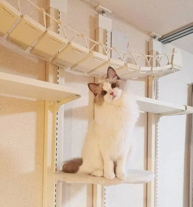 Cat Tree Wall Mounted Climbing Shelves Wooden Hammock with Ladder and Cats Perch Sleeping Pet Indoor Playground Pet Furniture