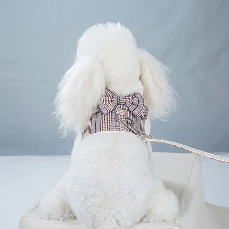 2023New Dog Harness Elegant Comfortable Breathable Pet Dress Collar For Small Dogs Fashion Lovers Vest Dog Harness and Leash Set