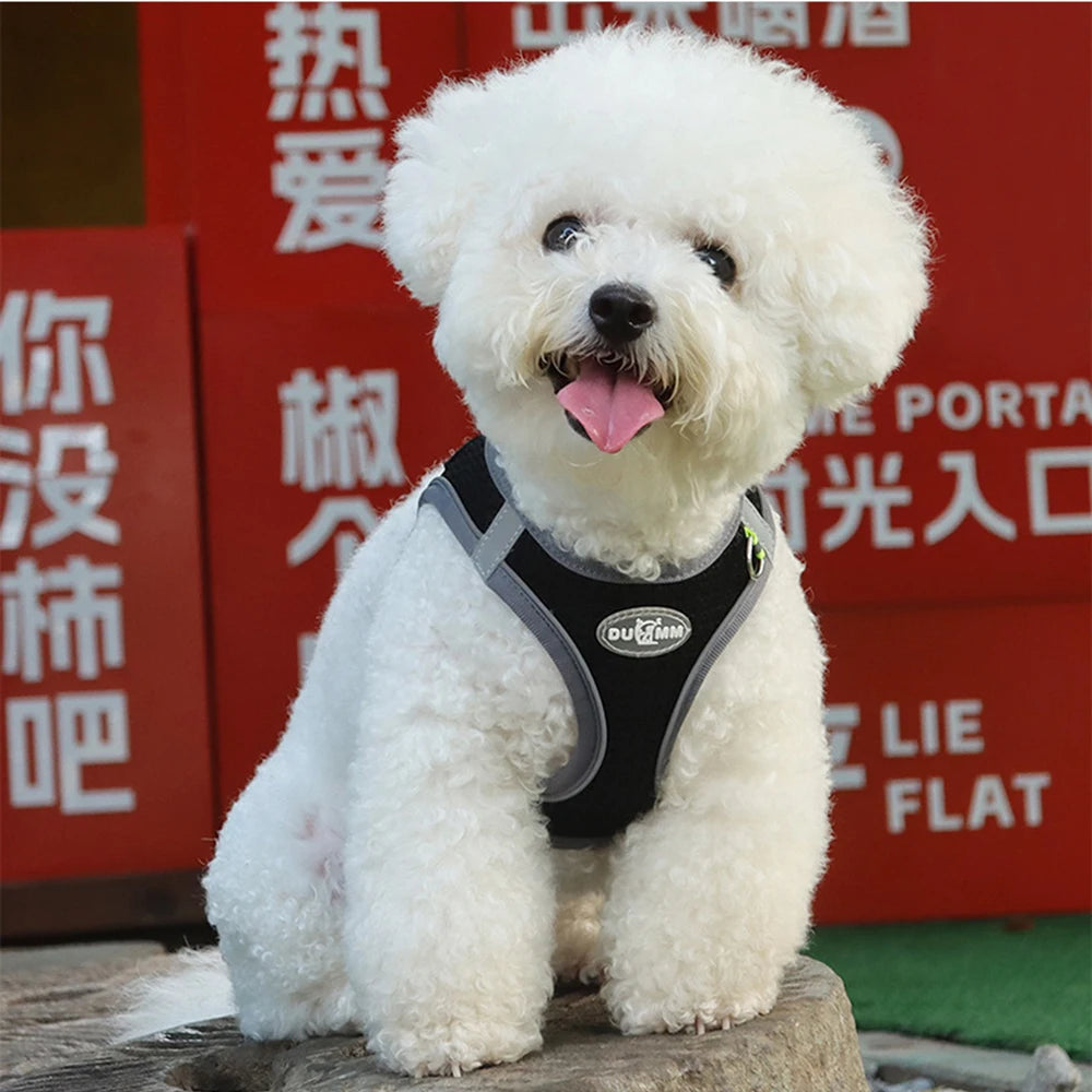 Summer Pincher Puppy Dog Vest Harness for Small Dogs High Quality Pet Harnesses and Leash Set Pomeranian Poodle mascotas Chain