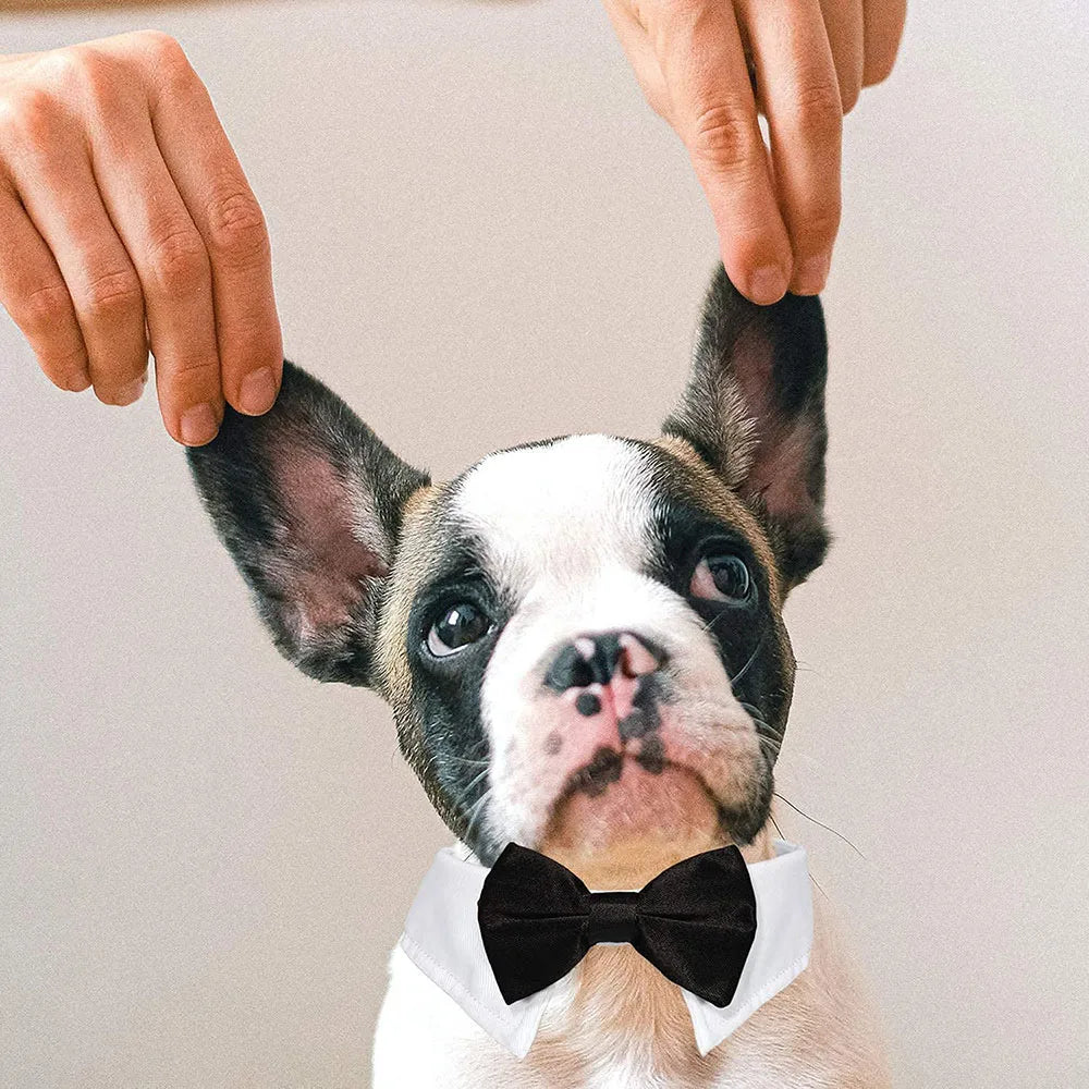 Pet Dog Cat Adjustable Bow Tie Collar Puppy Necktie Bowknot Bowtie Pet Cat Holiday Wedding Decoration Accessories for Small Dogs