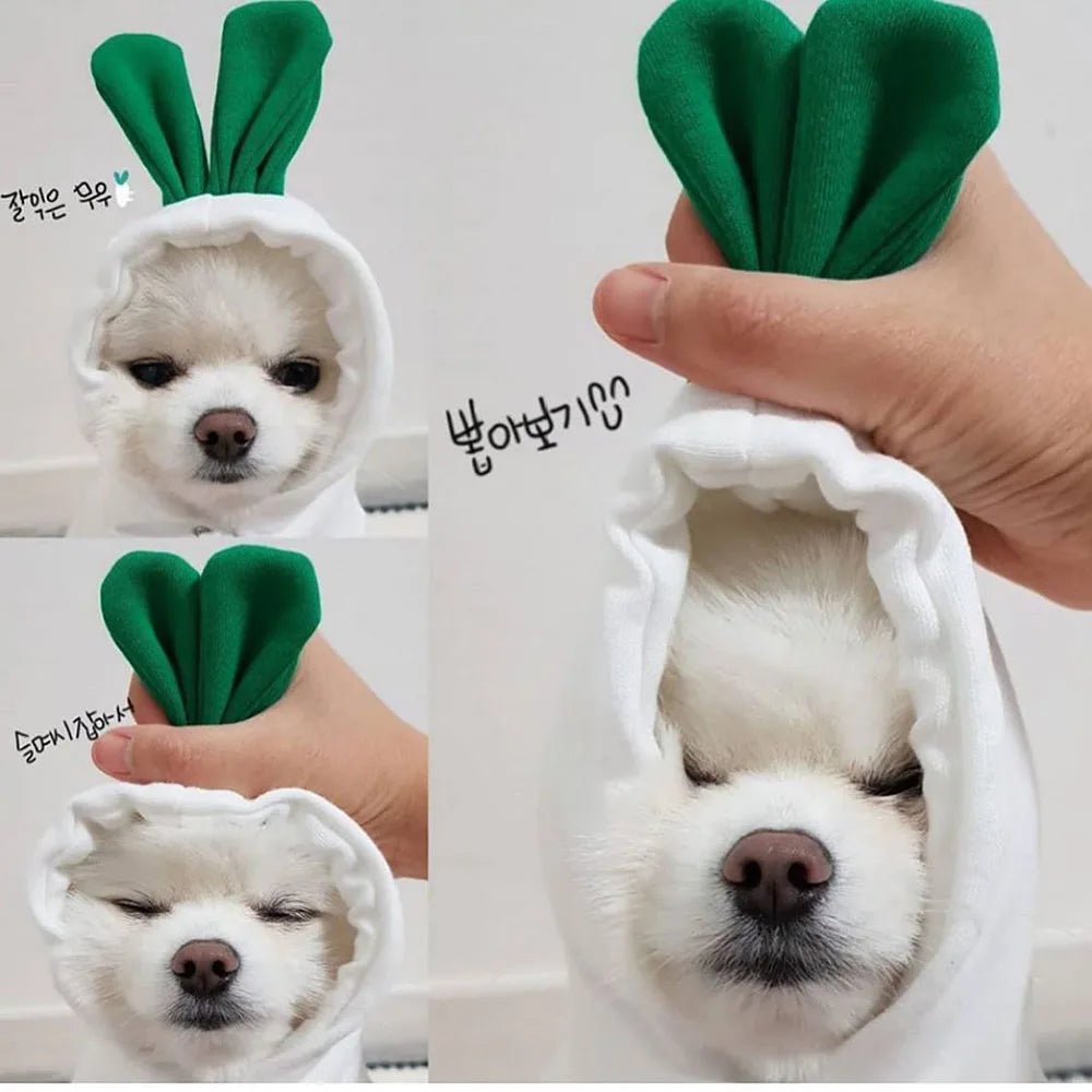 Cute Fruit Pet Costume Dog Clothes for Small Dogs Warm Fleece Doggy Hoodies Pet Dog Cat Clothing Puppy Sweater for Chihuahua Pug
