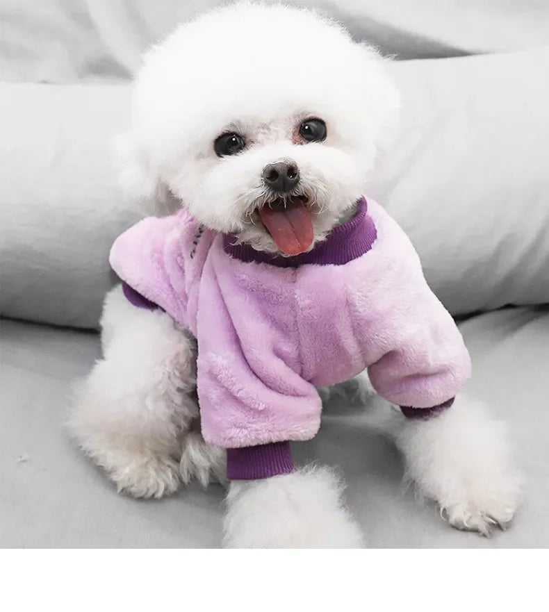 Pet Dog Clothes Warm Fleece Cute Fruit Print Coat Small Medium Cat Shirt Jacket Autumn Puppy Sweater Hoodie Chihuahua Yorkies