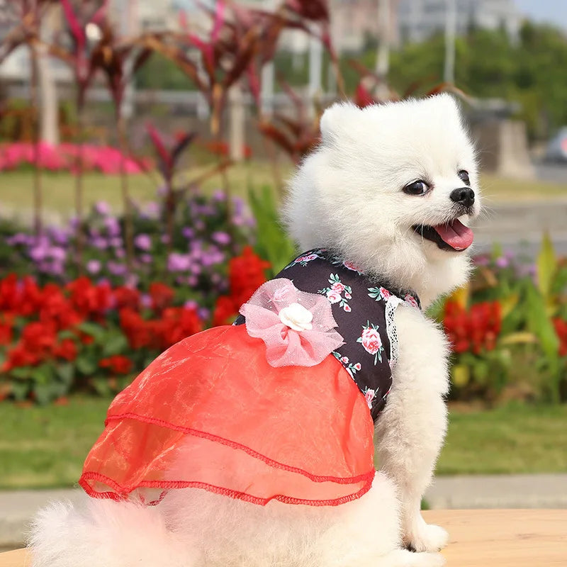 2024 Summer Dress for Dog Pets Clothes Chihuahua Wedding Dress Skirt Cloth Accessory Dog Pet Dress Supplies Hanbok Cat Costume