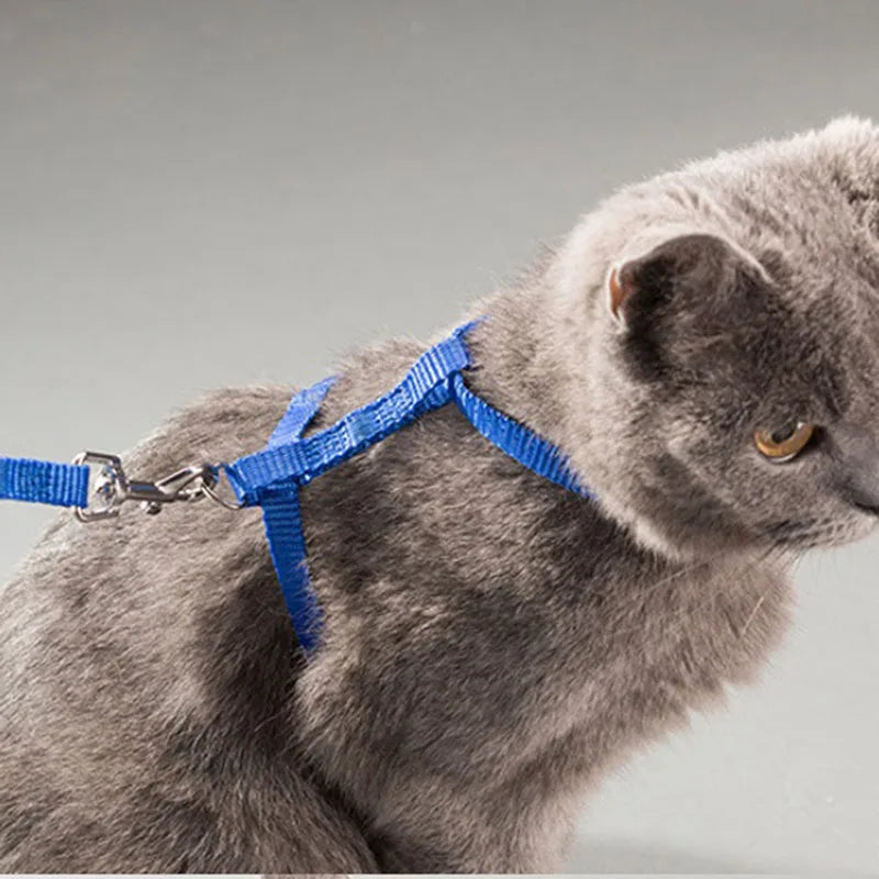 Adjustable Pet Cat Collar For Cats Cozy Nylon Rabbit Kitten Kedi Harness Leash Set Small Puppy Dog Cat Accessories Pet Products