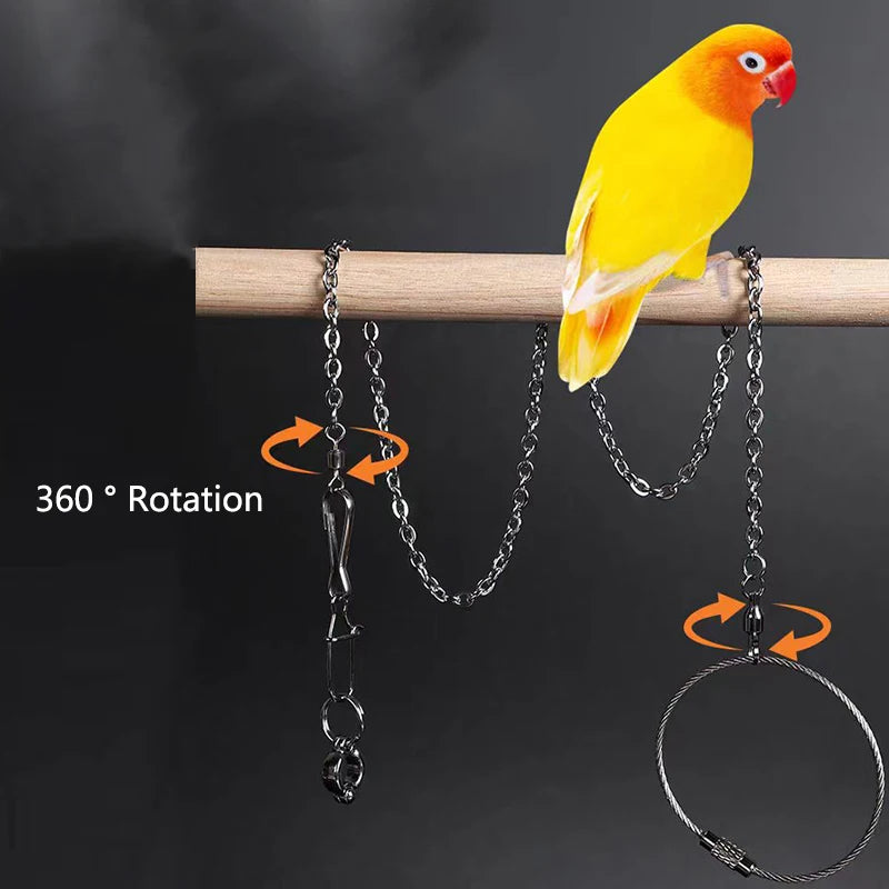 Stainless Steel Bird foot Chain Parrot Anti-flying Traction Rope Bird Feet Bracelet Alloy Foot Ring Pet Bird Training Leash