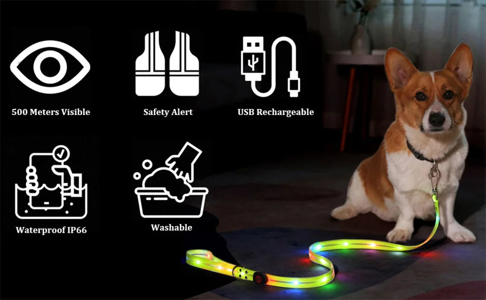 Led Light Up Dog Leash Walking Safety Glow in The Dark USB Rechargeable Adjustable for Large Medium Small Pet Lighted Dog Collar