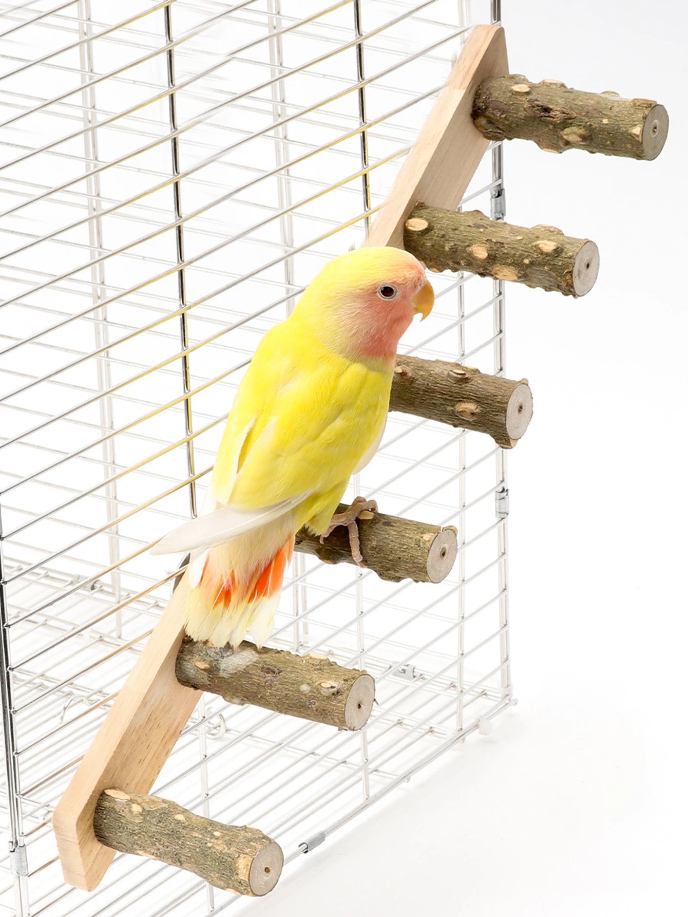 4/6 Steps Wood Ladder Pet Interactive Bird Parrot Toy Ladder for Hamster Cage Funny Grinding Stick Climbing Toy Bird Accessories