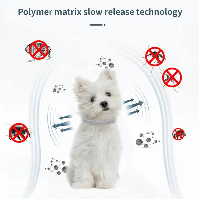 Dog Anti Flea And Ticks Cats Collar Pet 8Month Protection Retractable Pet Collars For Puppy Cat Large Dogs Accessories