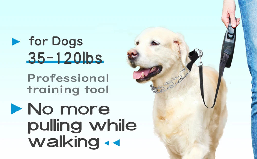 Strong Dog Prong Collar for Dogs Adjustable Detachable Dog Training Collar with Quick Release Buckle for Small Medium Large Dogs