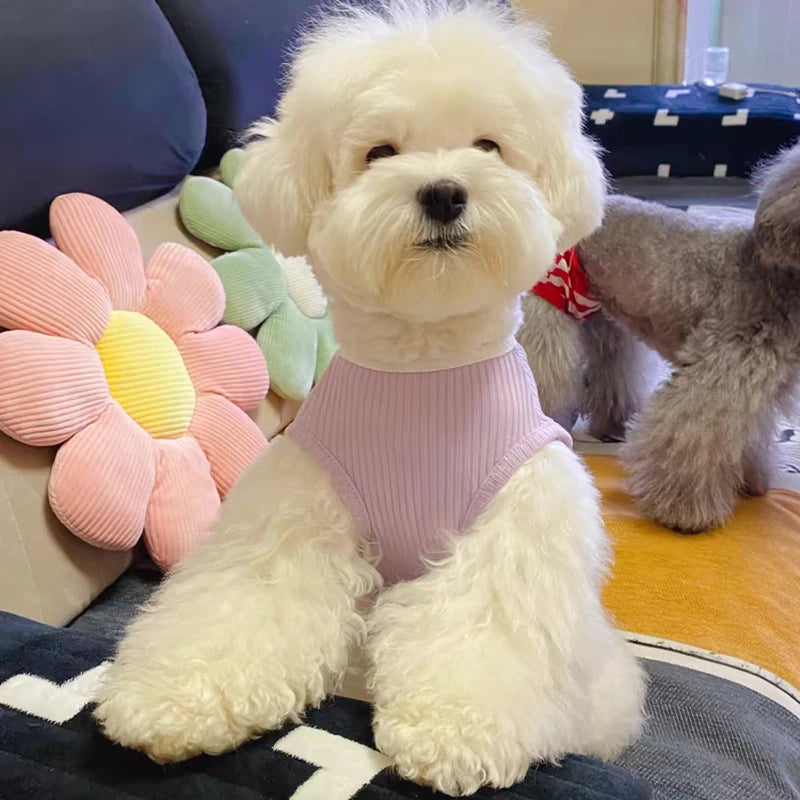 Vest for Dogs Solid Bow Dog Clothes for Small Dogs Sexy Backless Dog Costume Chihuahua Bichon 2024 Girls Dog Shirt Puppy T-Shirt
