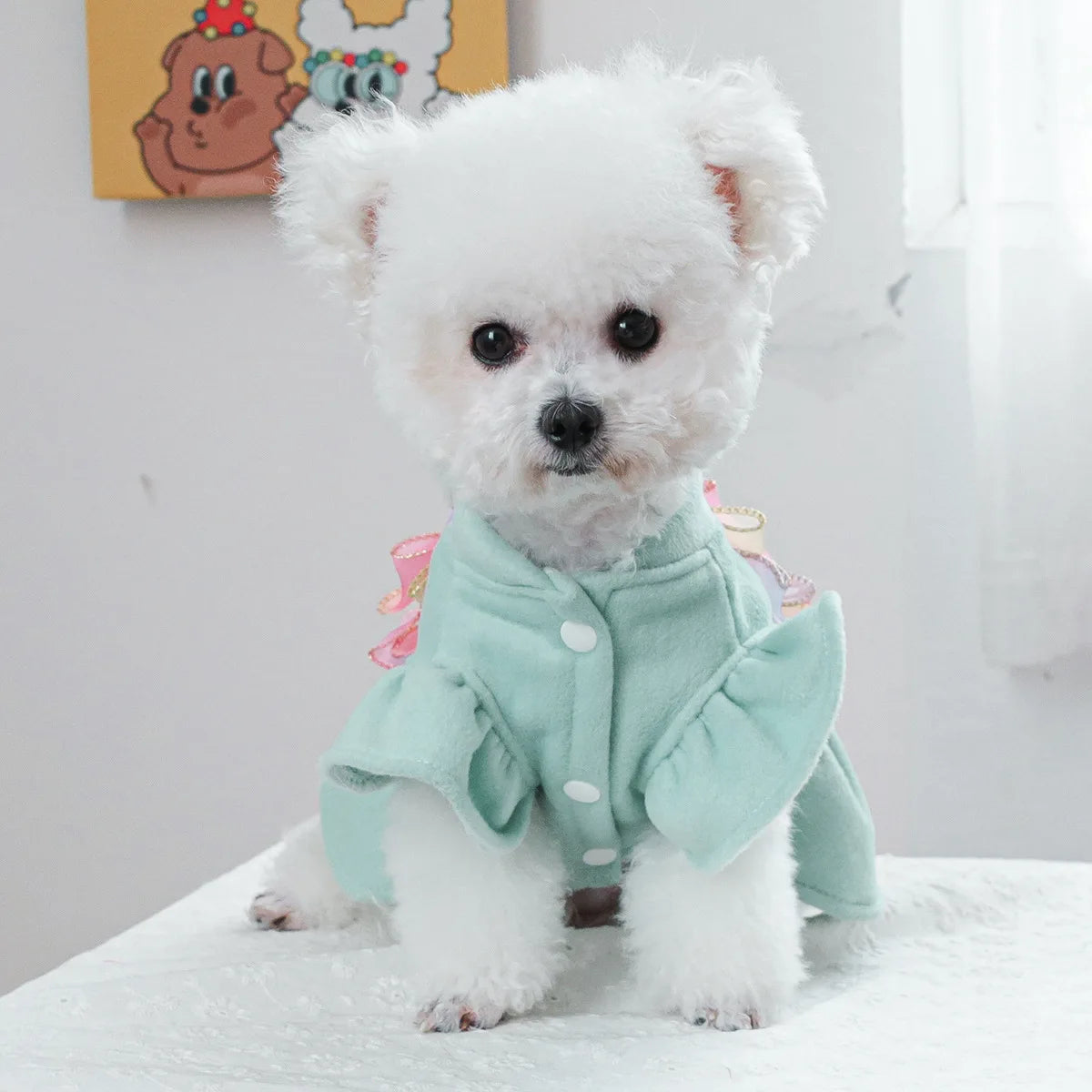 Luxury Woolen Princess Dress for Small Dogs Girl, Autumn Winter Warm Dog Clothes Yorkie Chihuahua Puppy Bowknot Skirts