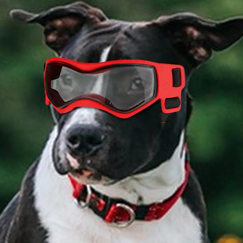 Small Dog Goggles Dog Sunglasses Anti-Fog Goggles PC Lenses Dog Eye Wear Protection Tool For Parties Everyday Activities Travel