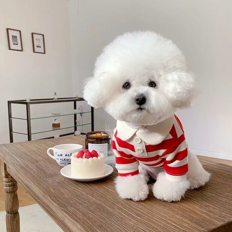Summer Puppy Clothes Solid Dog Polo Shirt Teddy Bichon Frise Chihuahua Dog Pullover Cat Dog Sweatshirt Pet Cooling Vest Clothing