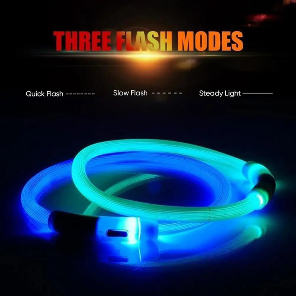 50cm LED Luminous Dog Collar Waterproof And Dustproof Visual Night Dog Walking To Prevent Lost Creative Color Dog Sub-sign Light