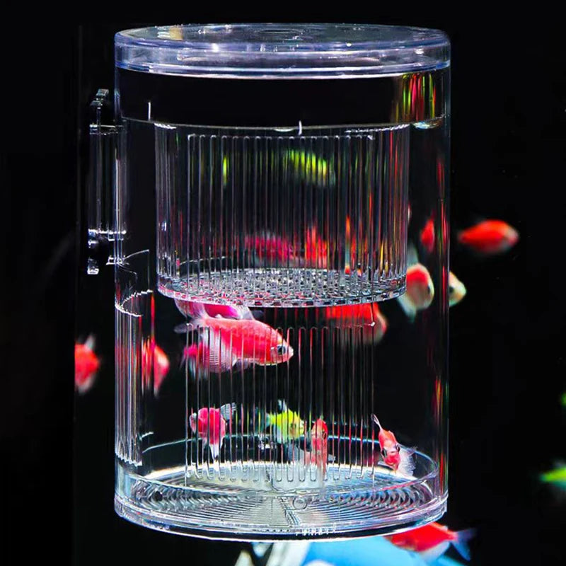 Acrylic Floating Fish Breeding Isolation Box Aquarium Breeder Feeder Fish Tank Hatching Incubator Aquarium Hatchery Accessories