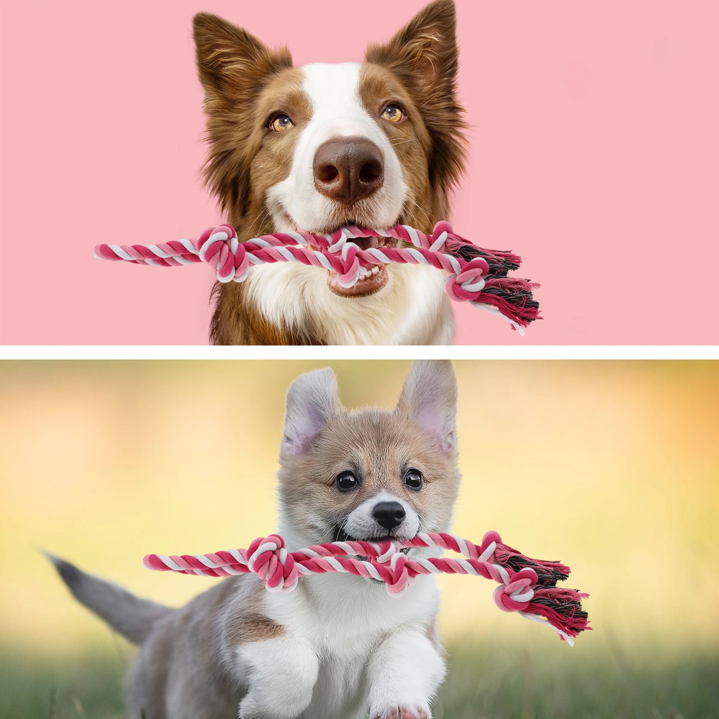 UXCELL Dog Chew Toys Knots Shape Braided Cotton Teeth Cleaning Rope Casual Puppy Bite-resistant Chewing Rope Pet Products