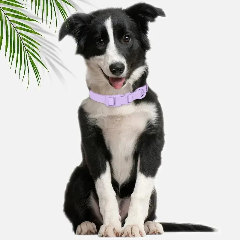 New Macaron Colored PVC Dog Collar Waterproof Dirt Resistant Easy To Clean Pet Collar Adjustable Neck Collar Pet Dog Collar Set
