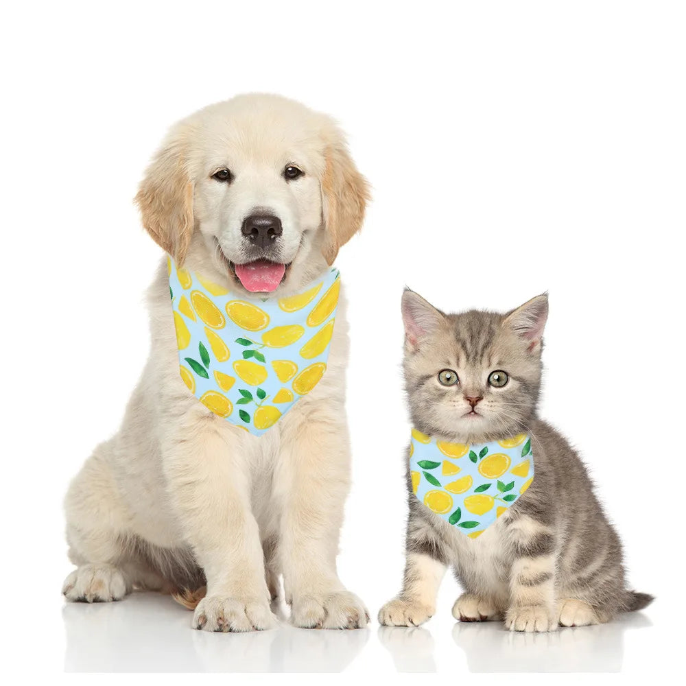 Cartoon Food Print Triangle Dog Collar Bandana Polyester Fade Resistant Pet Accessories Neck Scarf Small Dog Pet Supplies New