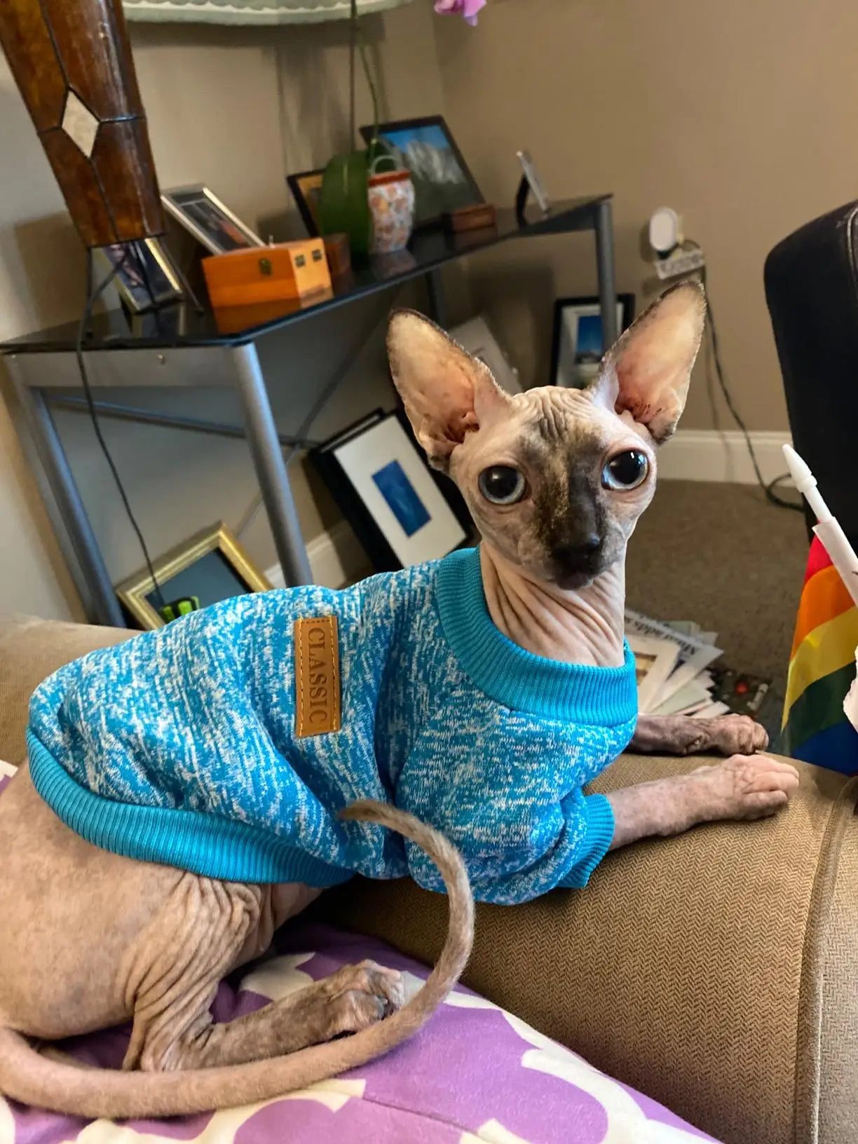 Dog Autumn/Winter Sweatshirt Colorful Thickened Soft And Warm Pet Pullover Clothes Classic Fashion Jacket For Cats And Dogs