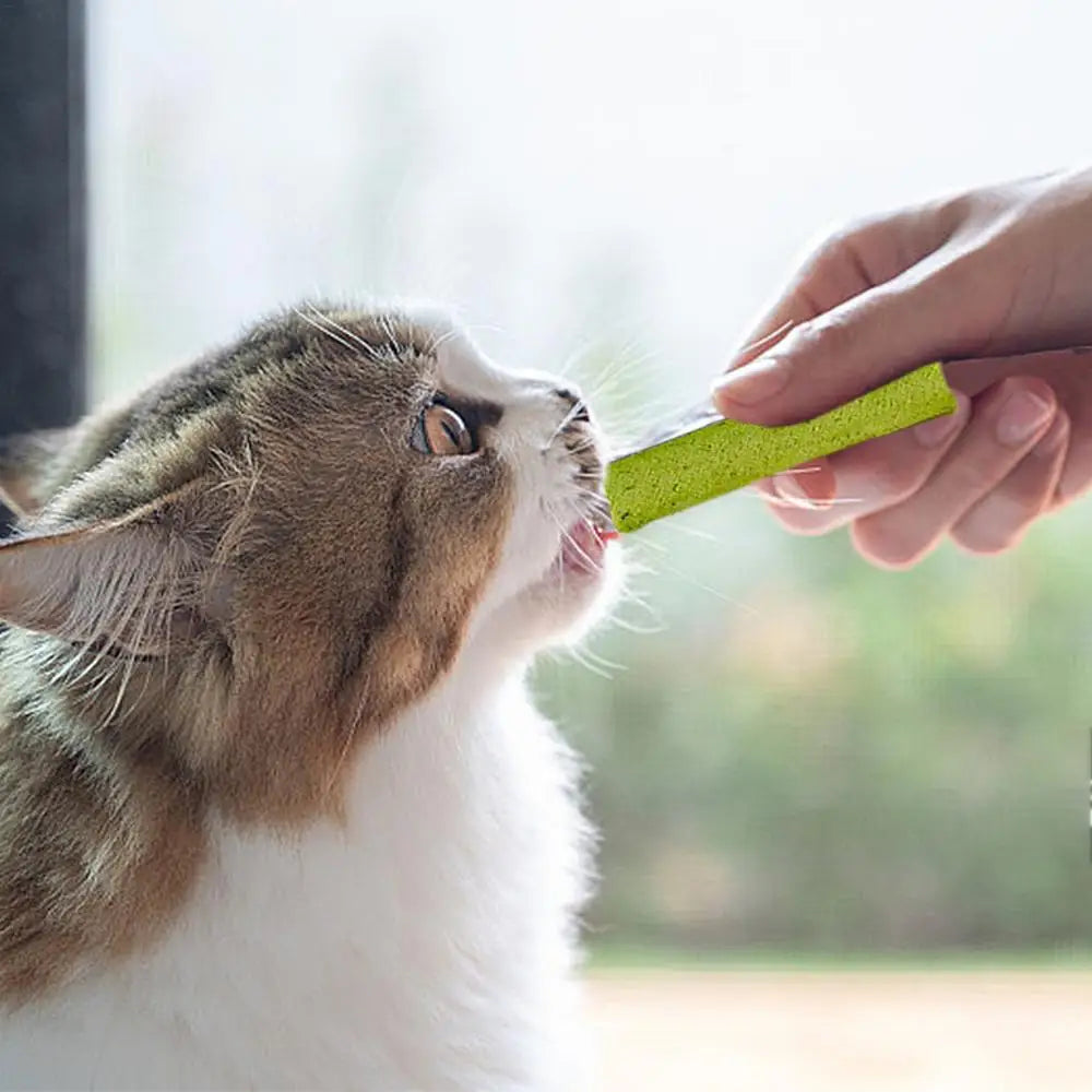 Cat Grass Chew Stick Molar Indoor Teeth Grinding Grass Chew Toy Natural Ingredients Grass Tooth Grinding Stick For Medium Cats