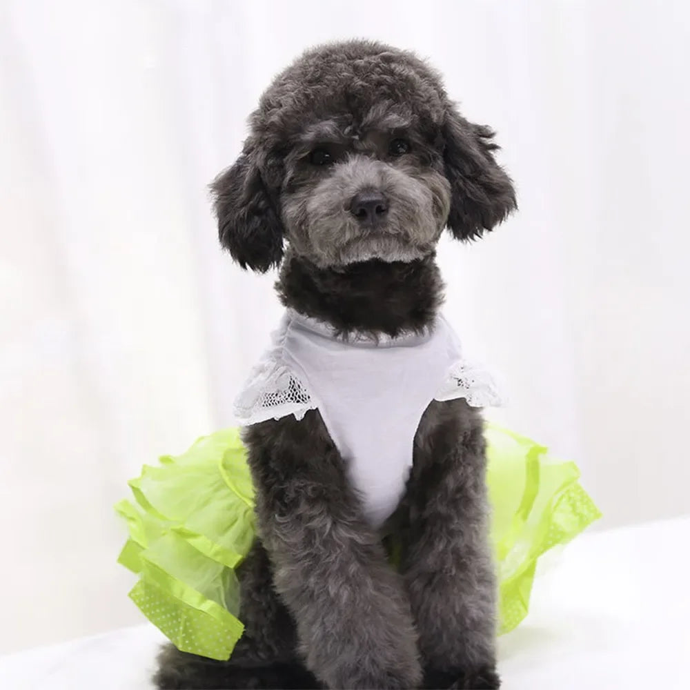 Cute Lace Princess Dog Tutu With Bow - Red, Yellow, Green