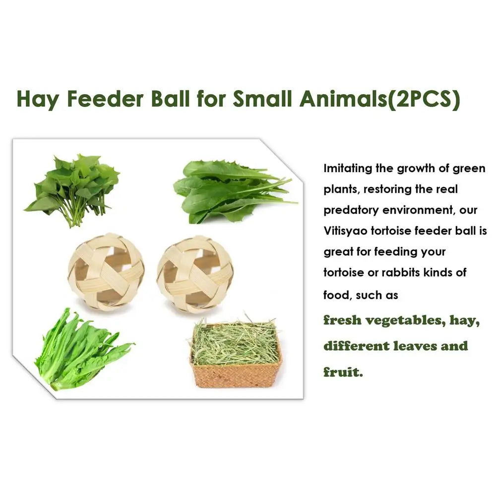 Turtle Feeding Ball Fruit Vegetable Holder with Training Skateboard 2 Treat Balls Turtle Enrichment Toys for Tortoise Turtle