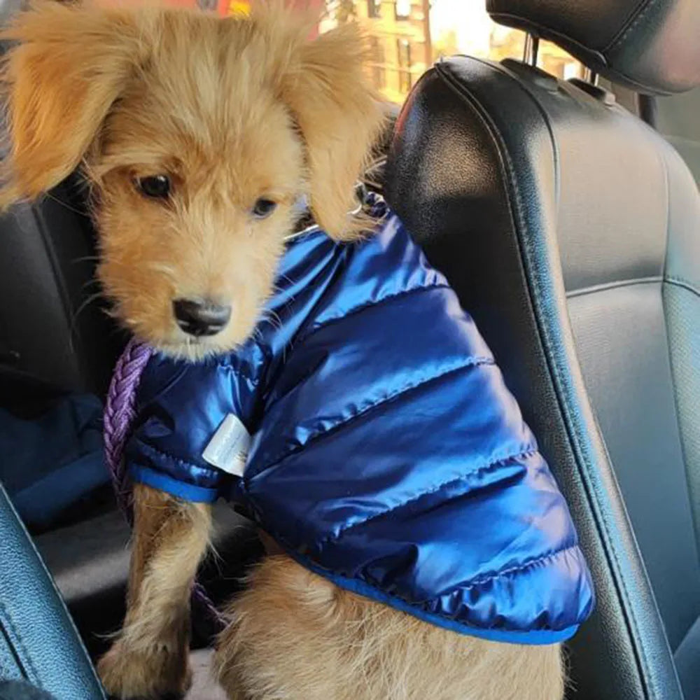 Puppy Pet Dog Clothes Outdoor Windproof Waterproof Leather Dog Coat Winter Warm Padded Jacket for Dogs and Cats in Cold Weather