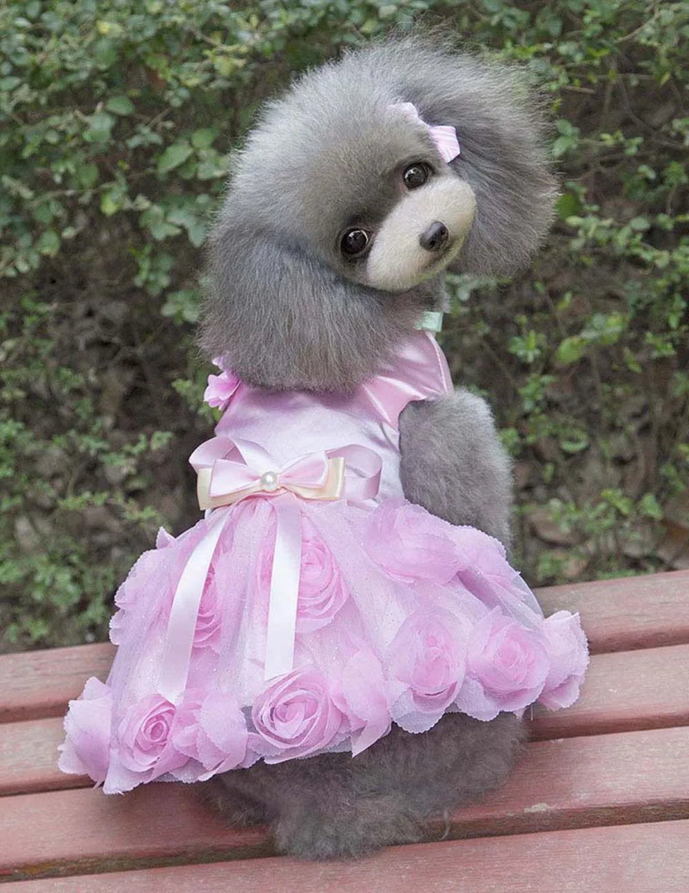 Dog Dresses Puppy Wedding Dress Female Dogs Wedding Costume Girl Dogs Rose Dress for Doggy Teddy Chihuahua Pet Princess Clothing