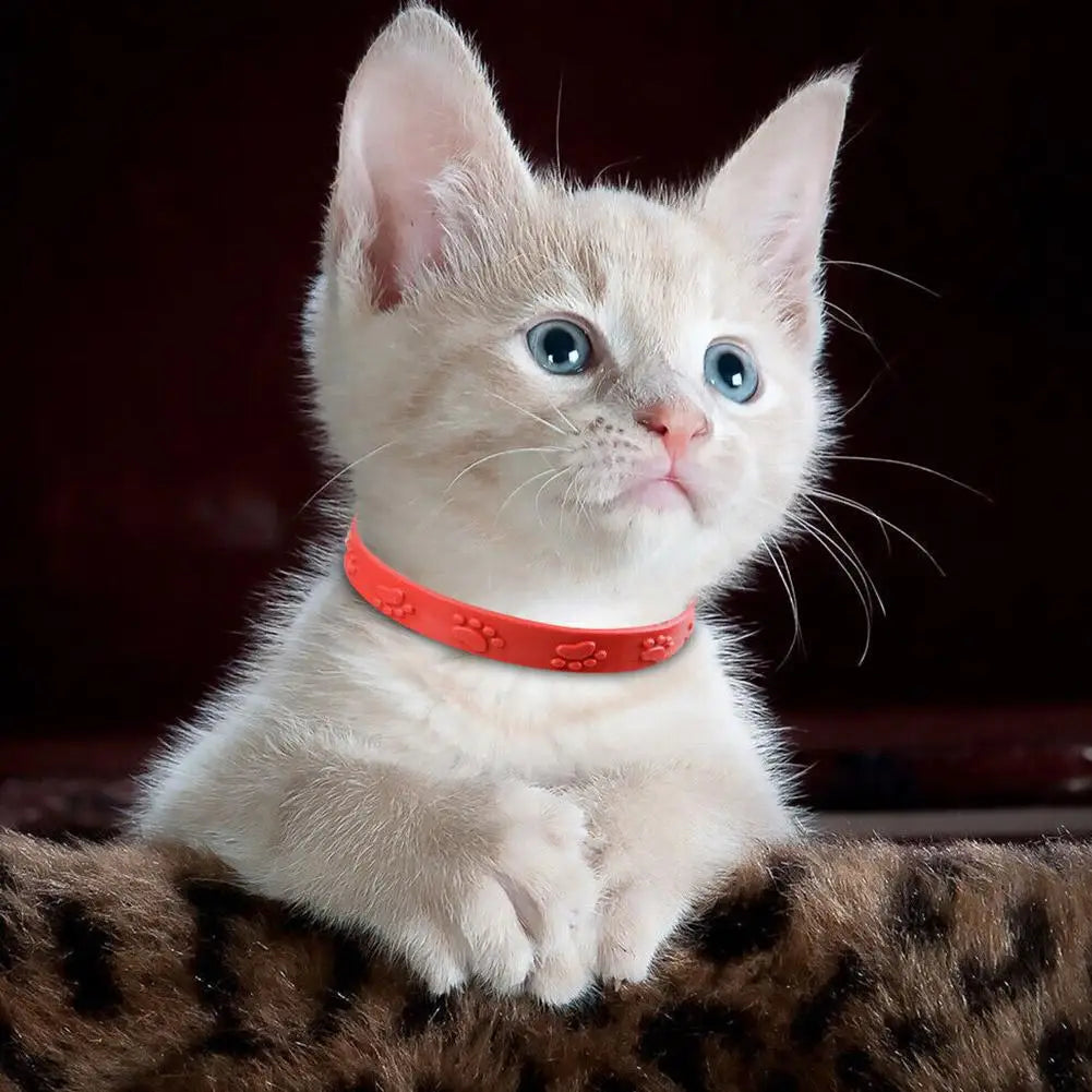 Flea And Tick Collar Anti Flea Tick Pet Collars Flea And Tick Resistant Collar For Pets Pet Repellent Pet Accessories R4M0