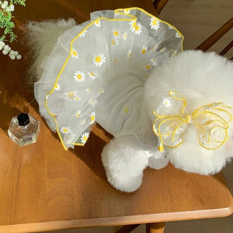 Cute Pet Dog Dress for Small Dogs Thin Puppy Princess Skirt Summer Dog Clothes Chihuahua York Clothing Pet Supplies