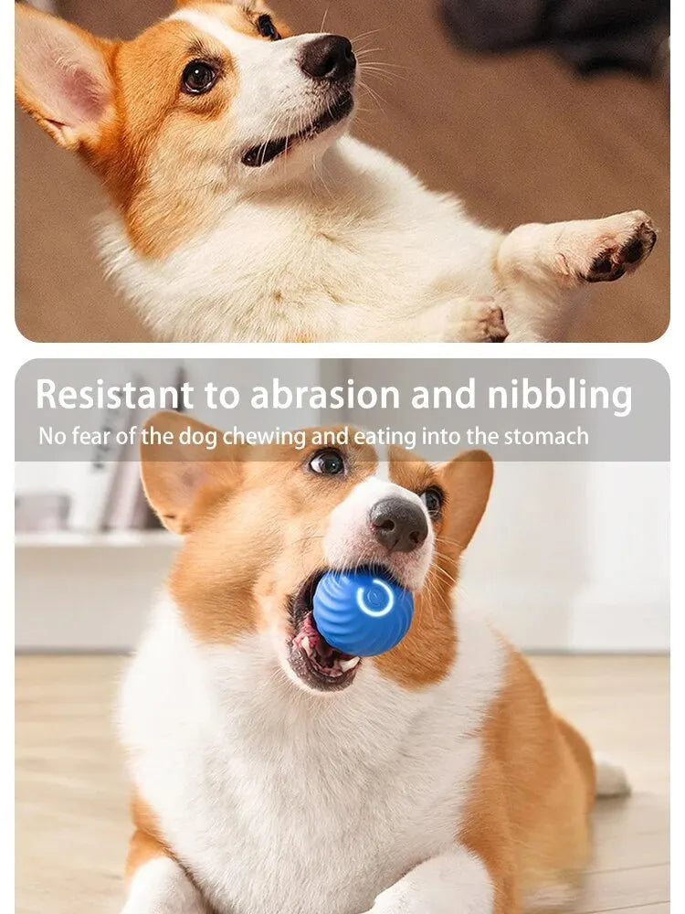 1pcs Dog Toys Intelligent Gravity Jump Ball Rechargeable Bite-Resistant Rolling Ball Cat And Dog Chase Interactive Pet Toys