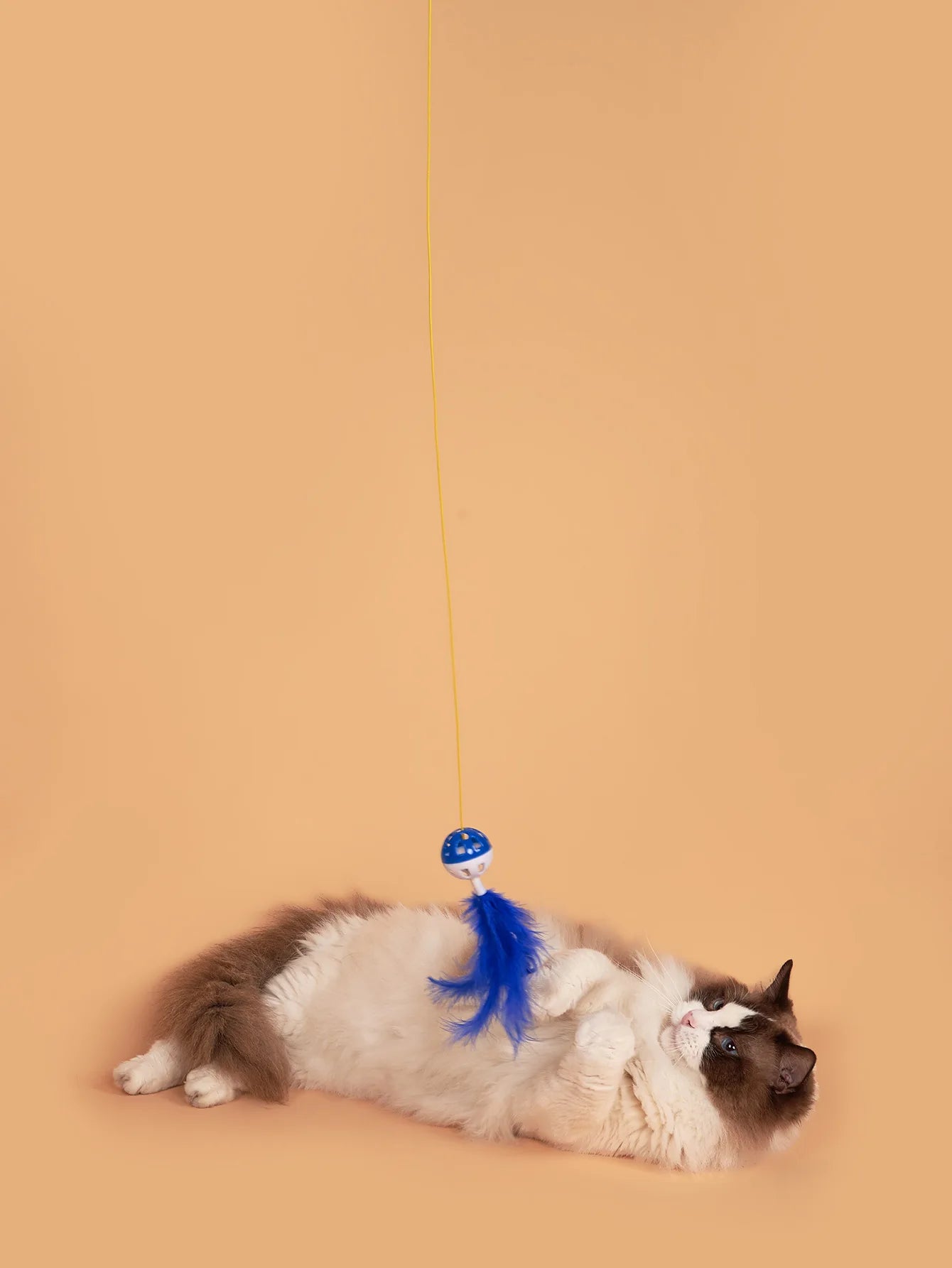 Cat Toy Cat Teaser Sticks Plastic Bell Swing Cat Teaser Stick Cat Durability Self Improvement And Relaxation Tool