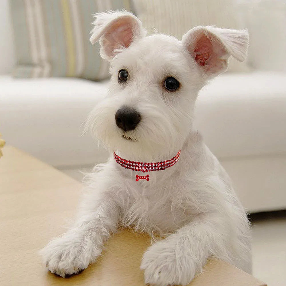 Bling Rhinestones Pet Collar, Adjustable Crystal Diamond Bone Pendant Wedding Collar Cat Dog Small Pet Elastic Necklace Jewelry