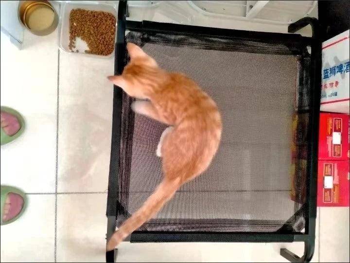 Elevated Bed For Dogs Folding Pet Camping Bed Cat Dog House Portable Removable Washable Cats Kennel Puppy Beds Dog Accessories