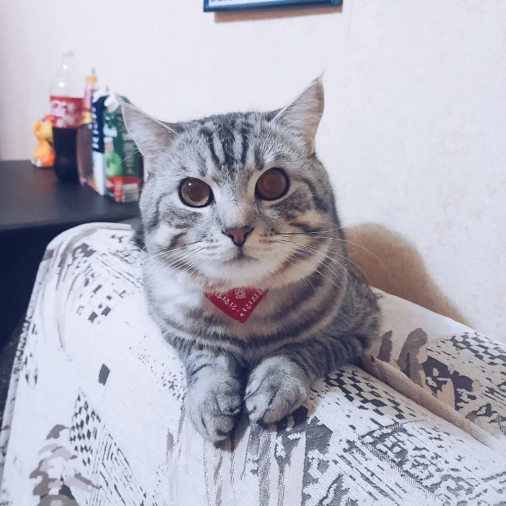 Small Dog Cat Bandana Collar Adjustable Puppy Dog Kitten Neckerchief PU Collar with Printed Triangular Scarf Pet Collar for Cat