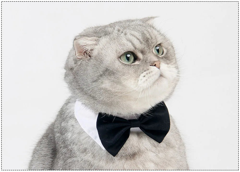 Pet Dog Cat Adjustable Bow Tie Collar Puppy Necktie Bowknot Bowtie Pet Cat Holiday Wedding Decoration Accessories for Small Dogs