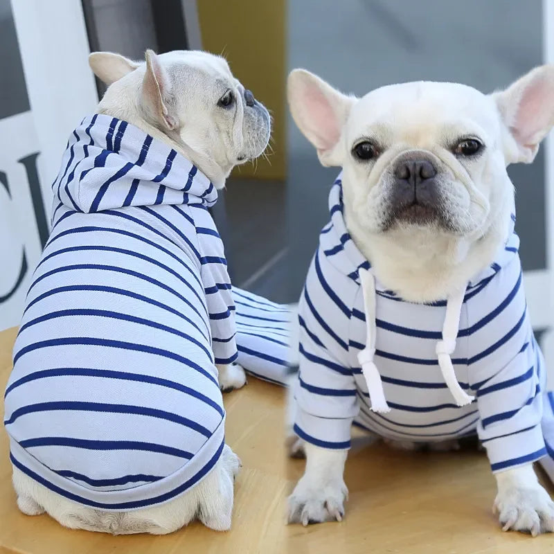 2023New Spring Summer Dog Hoodies Puppy Small Dog Costume Shirt Yorkshire Terrier Pomeranian Bichon Poodle maltese Clothing Coat