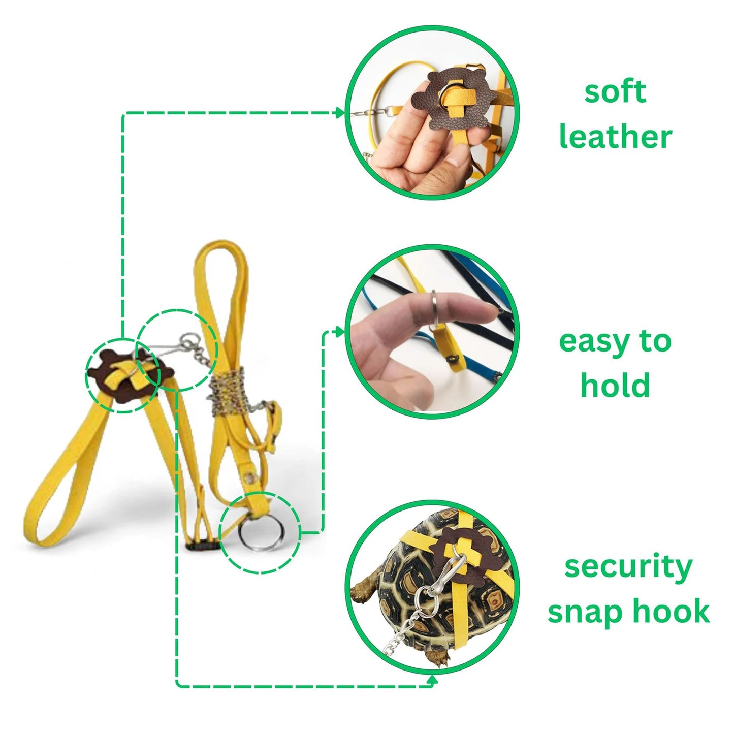 Turtle Feeding Ball Fruit Vegetable Holder with Training Skateboard 2 Treat Balls Turtle Enrichment Toys for Tortoise Turtle