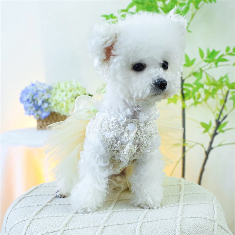 Summer White Puppy Veil Tutu Skirt Multi Layered Female Chihuahua Dresses for Sphinx Cat Wedding Party Small Medium Dog Clothes