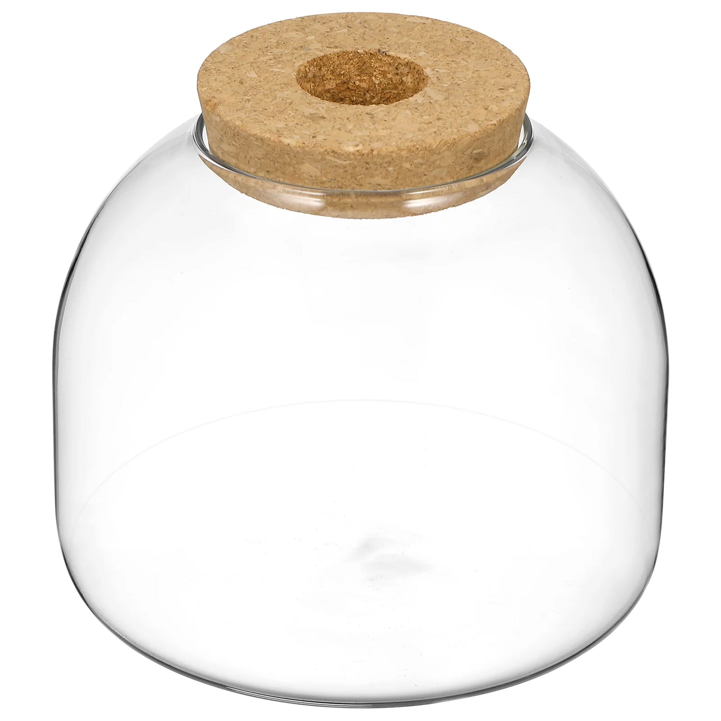 Cork Glass Bottle Plant Terrarium Large Micro Landscape Flower Pots Ecosystem Small Container Bracket Cookie Jar Office