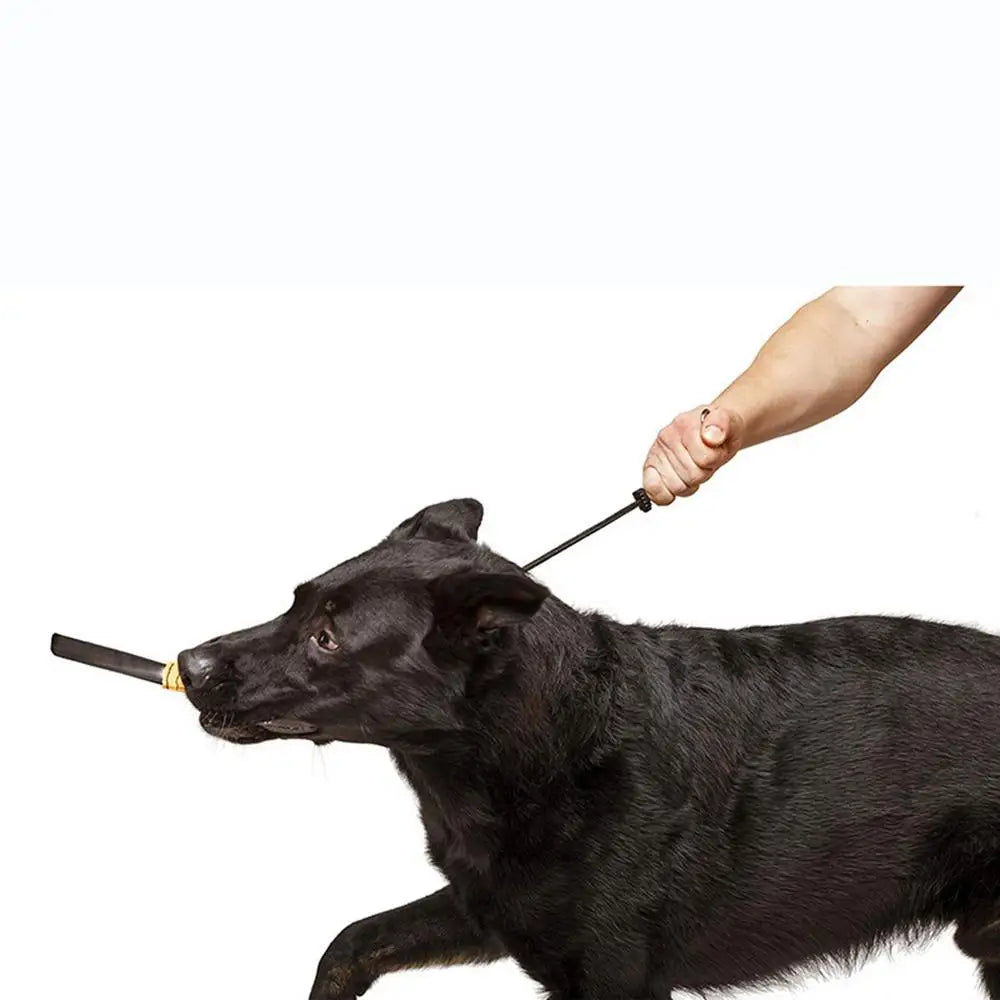 Traction Rope For Dog Long Dog Rope Recall Training Leads Dog Tie Out Rope With Padded Handle Easy Control For Large Medium Dog
