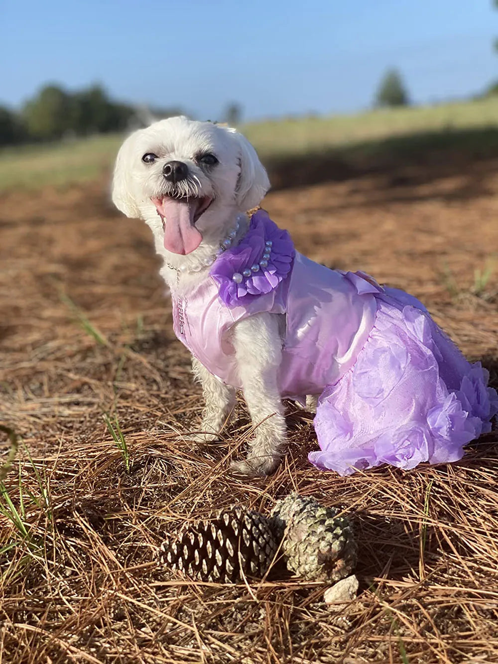 Dog Dresses Puppy Wedding Dress Female Dogs Wedding Costume Girl Dogs Rose Dress for Doggy Teddy Chihuahua Pet Princess Clothing