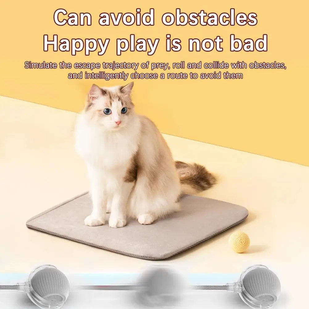 360° Automatic Self Moving Dog Cat Toys USB Rechargeable Dog Electric Toys Smart Rolling Ball Interactive Automatic J3L4