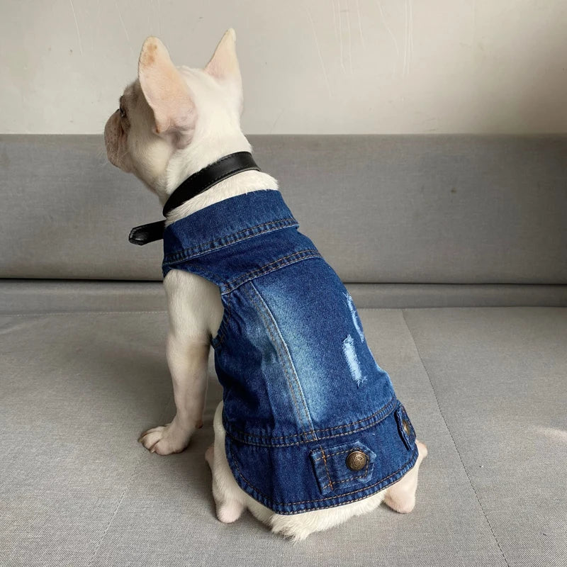 Spring Autumn Apparel Dog Jeans Jacket for Small Medium Dogs Cool Blue Pet Denim Hooded Coat Puppy Clothes Outfits
